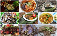 Bánh mì Sài Gòn, gỏi sầu đâu, lẩu mắm U Minh vào top 100 món ăn Việt đặc sản