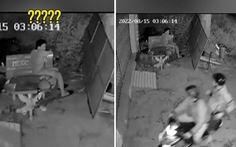 Trộm chó hú hồn vì 3 giờ sáng gặp chủ nhà ngồi lướt điện thoại
