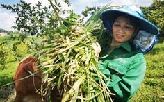 Báo Tuổi Trẻ trao 920 triệu đồng hỗ trợ nông dân Hòa Bình