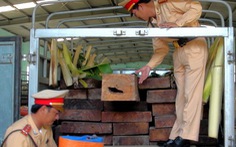 Quảng Bình: bắt ôtô chở gỗ lậu
