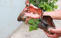 Nổ 3 quả đạn giữa khu dân cư, "lòi" ra 11 quả đạn khác