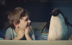 Xúc động clip tình bạn cậu bé và chim cánh cụt