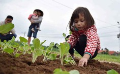 Một ngày làm nông dân Hội An của bé Riley Stirling 4 tuổi