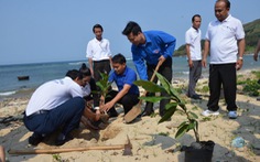 Thanh niên Lào trồng cây bàng vuông trên quê hương Hải đội Hoàng Sa