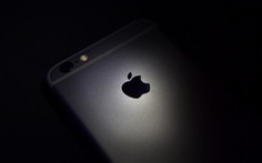 ​Apple phải nộp phạt 115 triệu USD tiền thuế tại Nhật Bản
