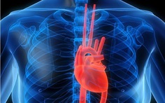 ​Người thiếu vitamin D trong máu dễ mắc các bệnh tim mạch