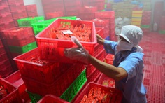 ​Thủ tướng yêu cầu xử lý nghiêm sai phạm trong kiểm tra xúc xích Vietfoods