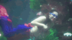 Video: Cận cảnh những 'nàng tiên cá' tung tẩy dưới thủy cung