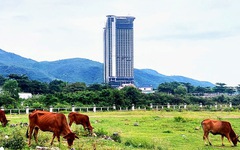 Kiểm tra, xử lý vụ ‘quên’ thu hồi đất tại Nha Trang với công ty liên quan Lã Quang Bình