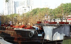 Nô nức thuyền hoa cập bến Bình Đông, chuẩn bị cho hội hoa