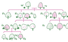 Công tắc khoa học: Phương pháp chọn giống cây trồng