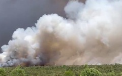 Cháy rừng tràm ở Kiên Giang, huy động 500 người dập lửa