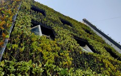 Ngắm 'pháo đài xanh', công sở 'chống nóng' độc đáo tại Quảng Bình