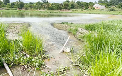 Trại nuôi heo xả nước thải ra danh thắng quốc gia hồ Lắk, địa phương nói gì?