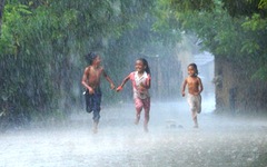 Những mùa mưa đợi chờ - Kỳ 1: Ngóng mưa ở 'thung lũng chết' Ninh Sơn