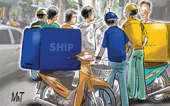 Shipper rối não với ma trận số nhà