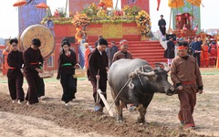 Chủ tịch tỉnh đi cày ở lễ hội Tịch điền