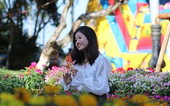 Công viên ở Quảng Ngãi rực rỡ sắc hoa ngày giáp Tết