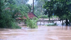12 người bị thương, 1 người mất tích, gần 600 nhà bị hư hỏng do mưa lũ tại Quảng Ngãi
