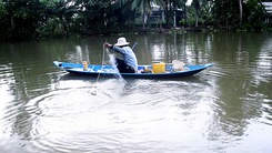 Nhộn nhịp mùa thả lưới bắt cá mè vinh trên sông