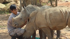 Hiệp hội SEAZA ghi nhận nỗ lực nâng cao phúc trạng động vật của Vinpearl Safari