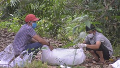 Đã xác định được danh tính nạn nhân vụ thi thể không đầu ở Bình Phước