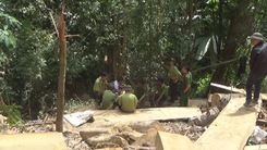 Điều tra vụ phá rừng đặc dụng tại Đắk Lắk
