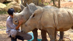 Tin nóng 24h: “Ngôi nhà hạnh phúc” của động vật hoang dã ở Vinpearl Safari