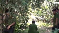 Video: Cảnh sát nổ súng giải tán trường gà, 3 người bị thương