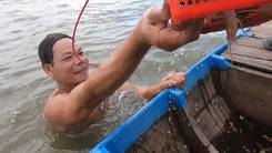 Video: Xem ‘vua bắt cá bằng tay không’ trên sông Vàm Nao, Đồng Tháp