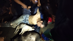 Video: Nghi trộm chó, nam thanh niên bị dân vây đánh bất tỉnh