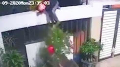 Video: Leo rào trộm cây kiểng đưa qua tường, sau đó phát hiện 'cửa không khóa'