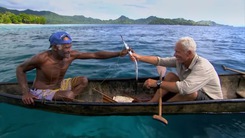 Độc đáo cách câu cá bằng diều lá và mạng nhện ở Solomon