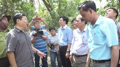 Hơn 400 ha rừng Vườn Quốc gia U Minh Hạ có nguy cơ cháy cực kỳ nguy hiểm