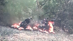 Video: 3 xe máy của cán bộ rừng phòng hộ Bắc Hải Vân bị đốt cháy