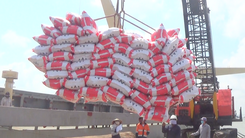 Video: Doanh nghiệp được tạm ứng xuất khẩu tiếp 100.000 tấn gạo