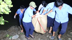 Video: Tìm thấy thi thể học sinh lớp 8 chết đuối khi tắm sông Sài Gòn
