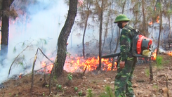 Video: Cả ngàn người chữa cháy rừng trong nắng 40 độ C