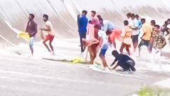 Video: Người dân đua nhau hứng, vớt cá bên bờ tràn hồ Hebballa kere