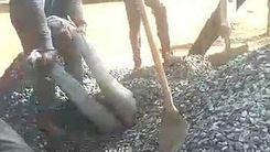 Video: Bị chôn vùi 3 phút dưới đống sỏi vì đứng sau xe tải