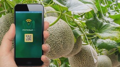 Ứng dụng công nghệ IoT phát triển nông nghiệp bền vững