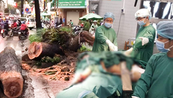 Video: Người đàn ông bị cây xanh ngã đổ đè lên người đã qua đời