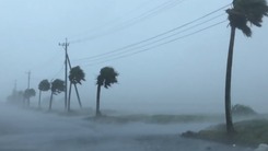 Video: Hai thực tập sinh Việt Nam mất tích do bão Haishen ở Nhật Bản
