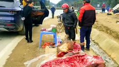 Video: Trâu bò chết rét, người dân mổ thịt bán dọc quốc lộ