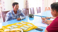 Video: Tạm giữ người vác 86.000 USD băng đồng sang Campuchia để nhận 200 ngàn tiền công