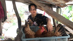 Video: Cô học trò mở 'quán tạp hóa', trồng chuối, nuôi gà từ năm 10 tuổi
