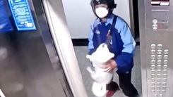 Video: Người giao hàng nhanh tay cứu 'cún cưng' bị treo cổ trong thang máy