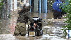 Video: Mưa lớn kéo dài, hàng trăm nhà dân ngập sâu ở Ninh Thuận