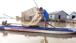 Video: Xúc cá linh cuối mùa nước nổi ở miền Tây