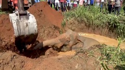 Video: Cả trăm người tập trung xem cứu voi rừng lọt hố